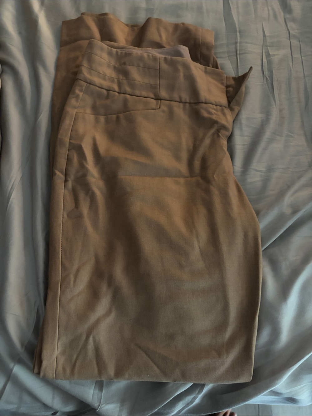 The Limited Women's Boot Cut Pants in Brown